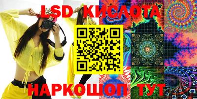 индика Вязьма
