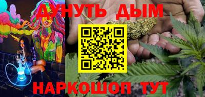 индика Вязьма