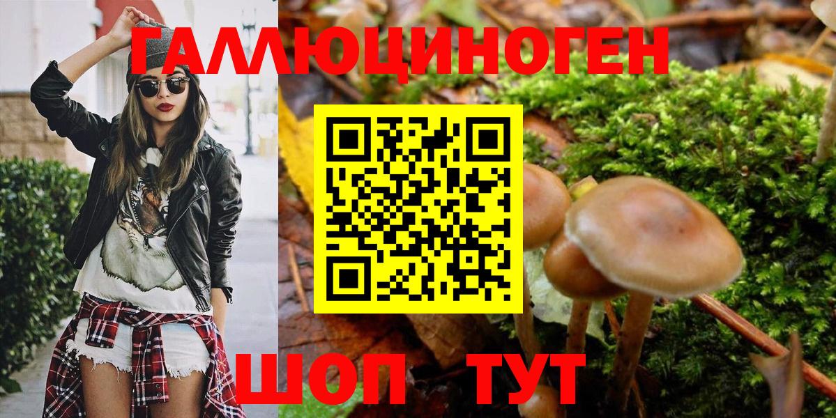 Псилоцибиновые грибы GOLDEN TEACHER Шатура
