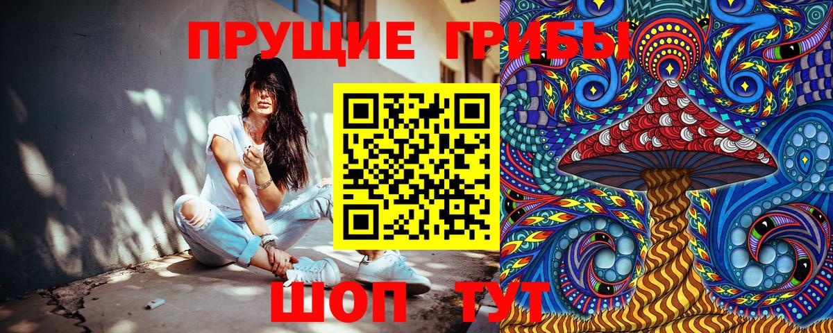 Галлюциногенные грибы Psilocybe  Вход с VPN  Шатура 